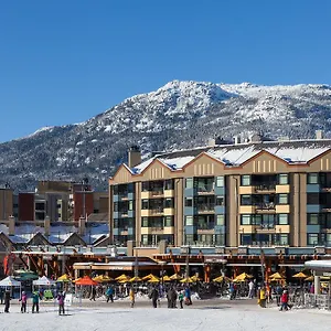 Gibbons Life Whistler
